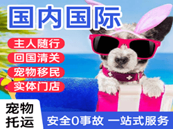 鄂伦春空运国际宠物托运 【国